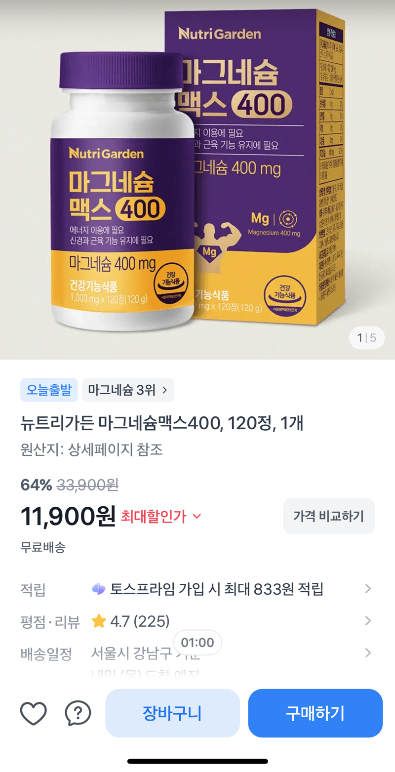 뉴트리가든 마그네슘맥스400