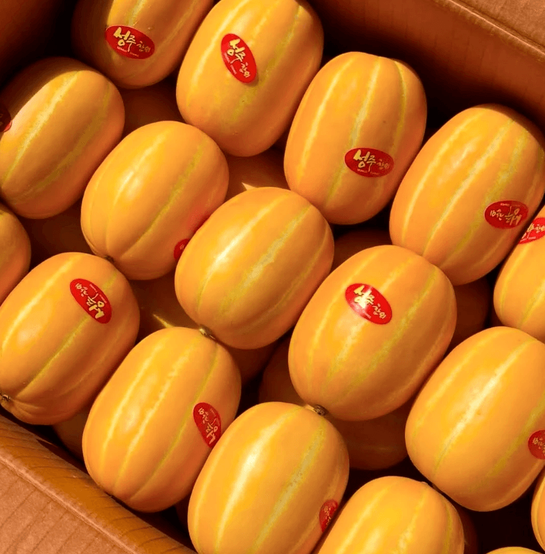 성주 꿀참외 5kg