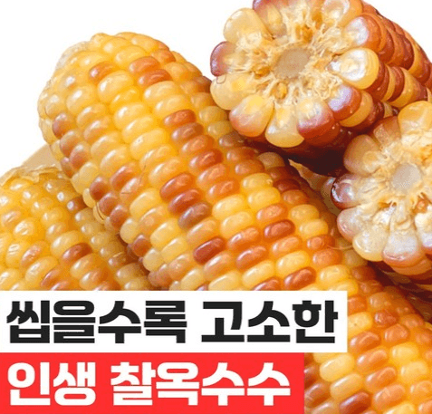 푸드지 홍찰 옥수수 30개