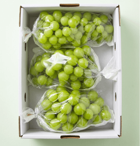 샤인머스켓 1kg