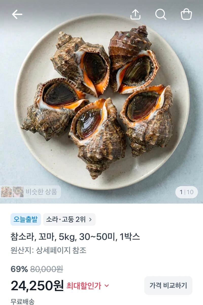 꼬마 참소라 5kg
