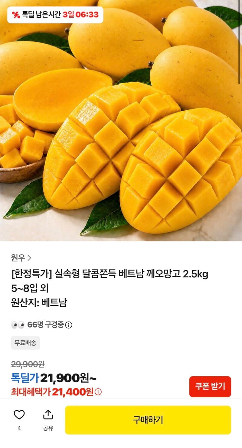 베트남 께오망고 2.5kg