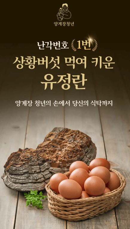 양계장청년 상황버섯 유정란 60구