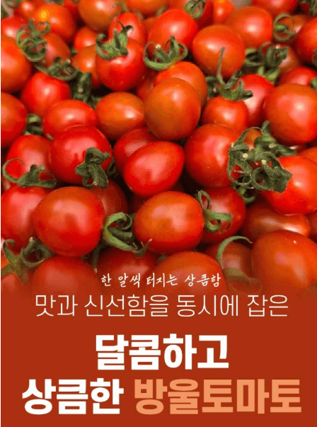 탐나유 국내산 방울토마토 2kg