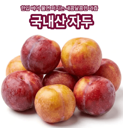 국내산 자두 2kg
