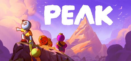 PEAK 38% 할인 5,210원