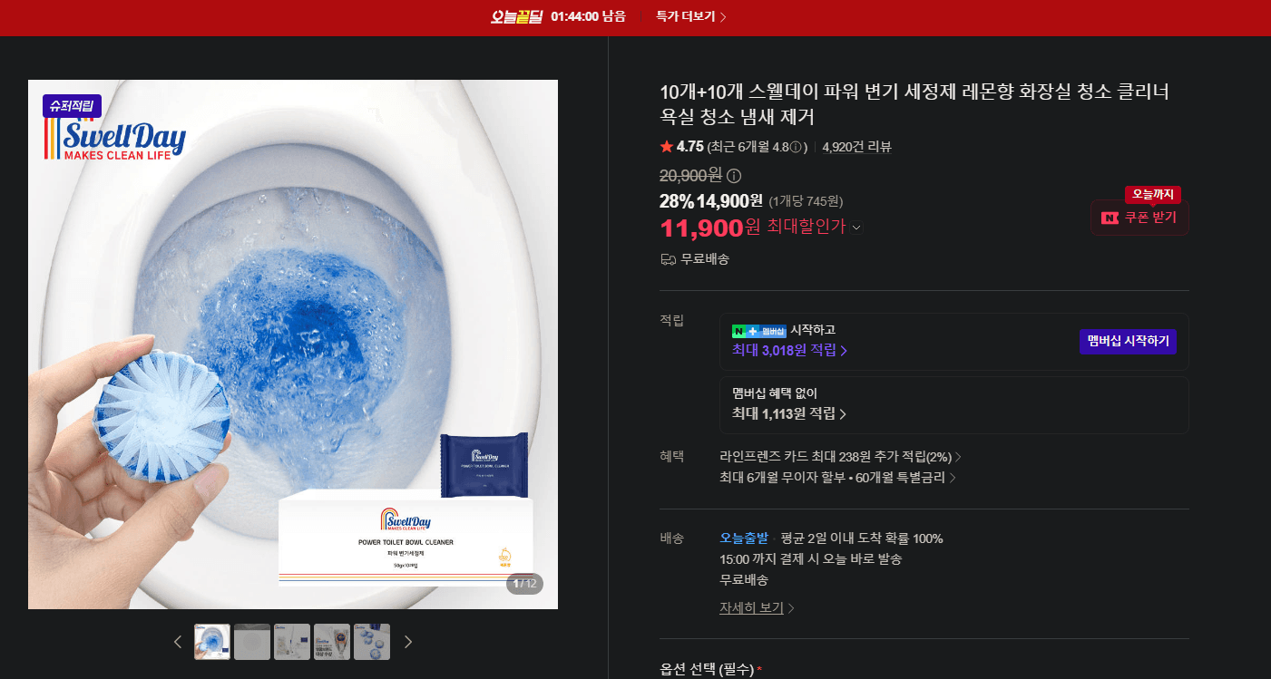 스웰데이 파워 변기 세정제