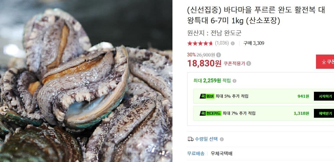 완도 활전복 대왕특대 1kg
