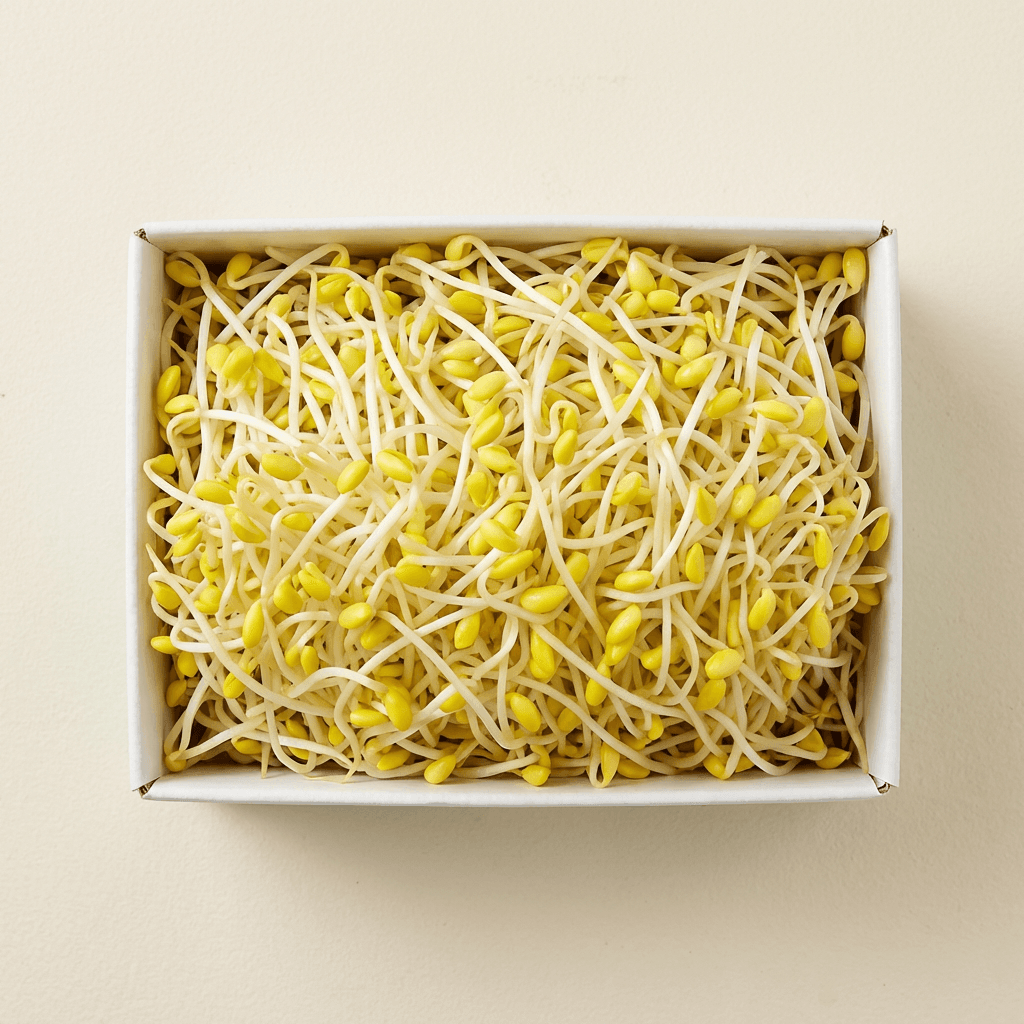 이조은산소 콩나물 1kg