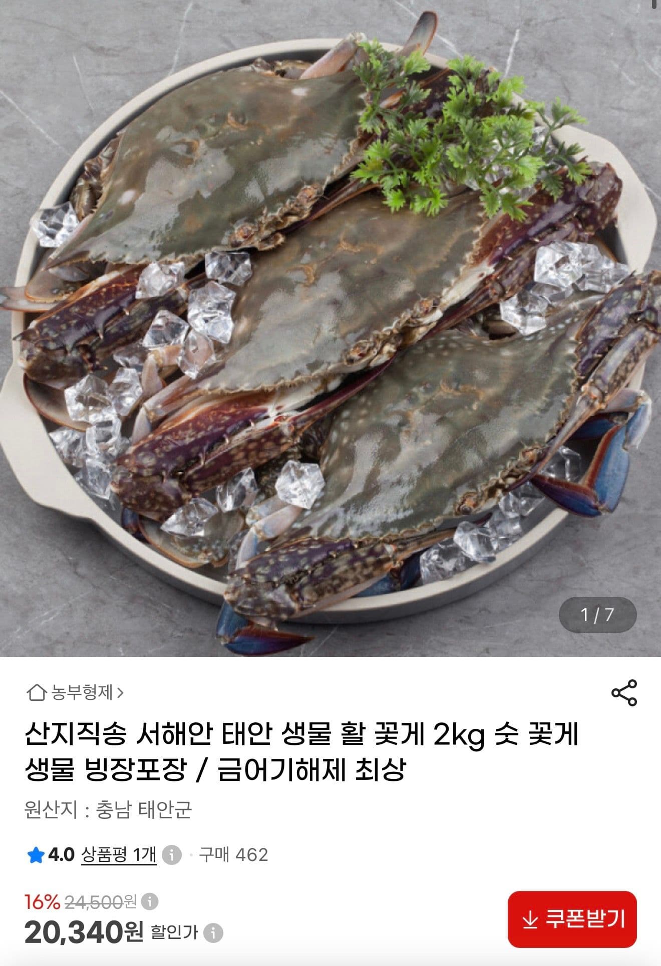태안 활 꽃게 2kg