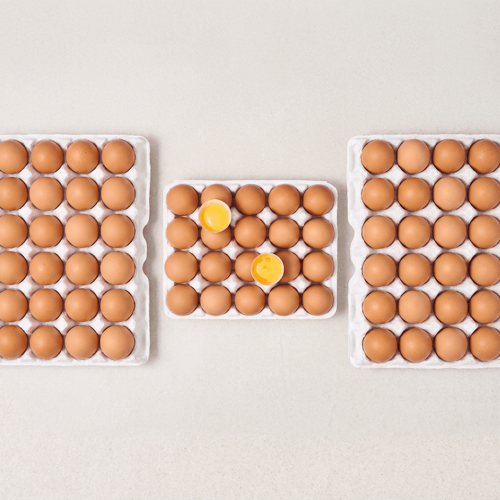 신선하랑 무항생제 유정란 40구