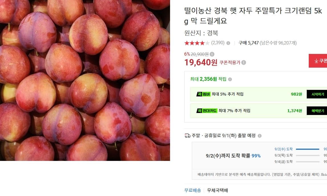 햇 자두 5kg