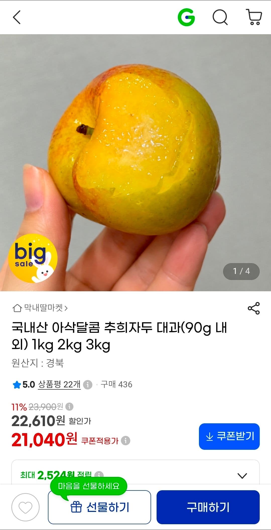 추희자두 대과 3kg
