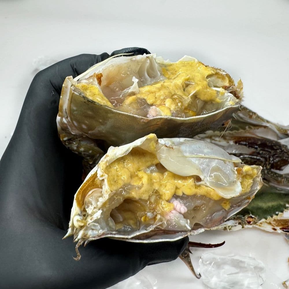 수산특공대 서해안 활 숫꽃게 1kg