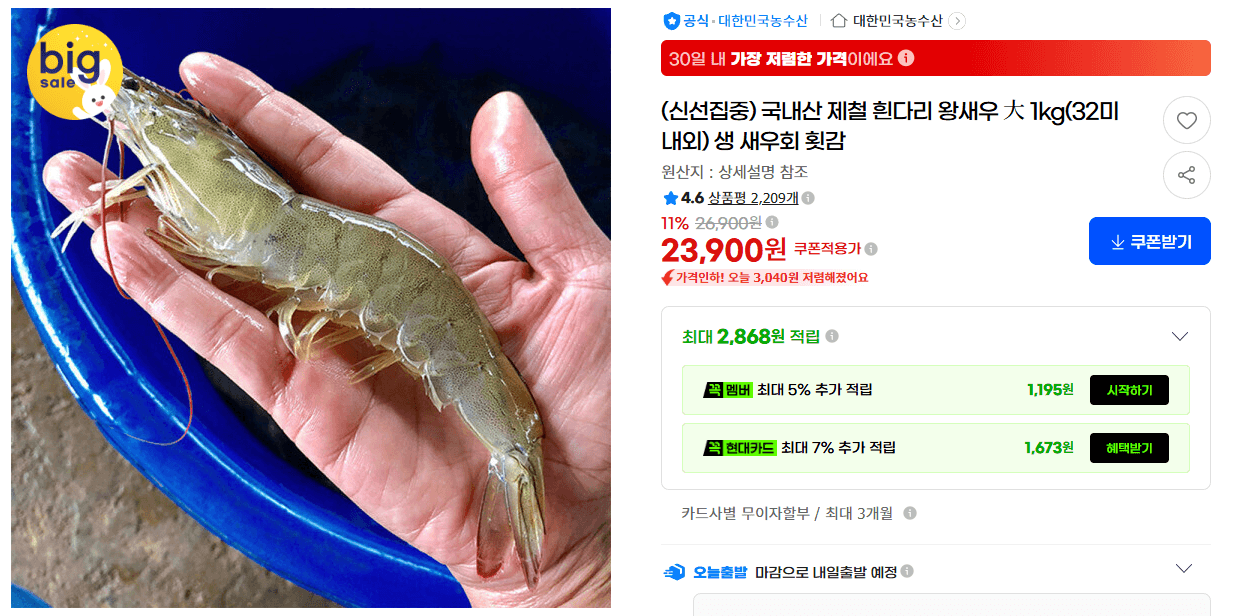 국내산 제철 흰다리 왕새우 大 1kg