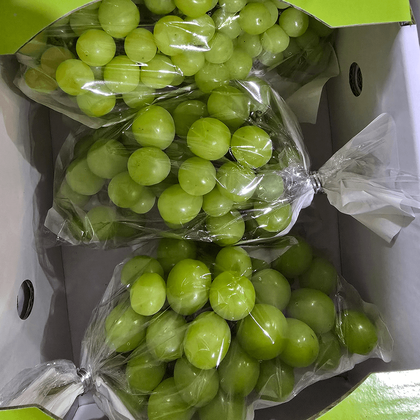 샤인머스켓 씨없는 포도 2kg