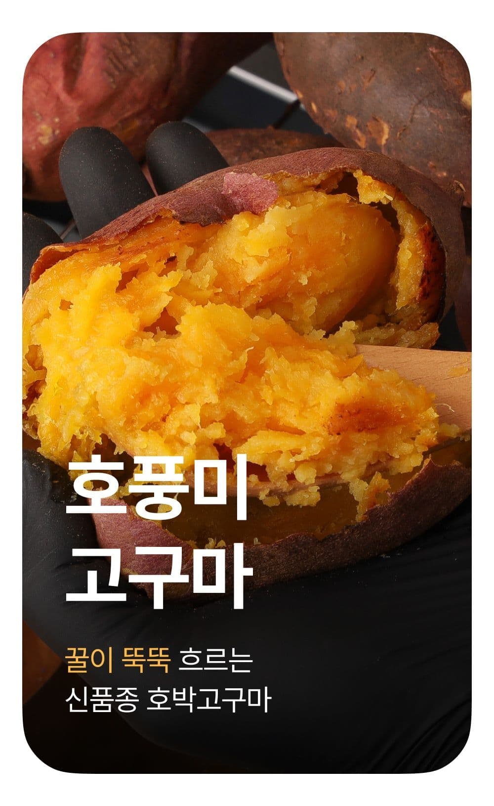 햇 호풍미 꿀고구마 특상 2kg