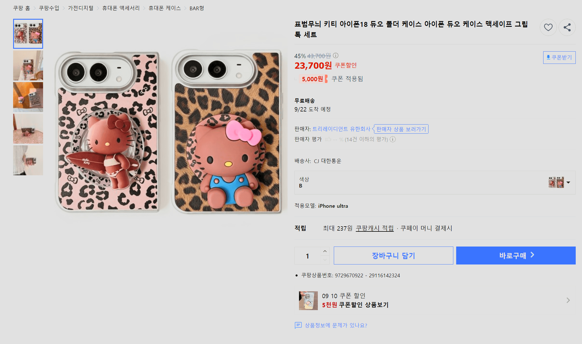 iPhone Duo Case