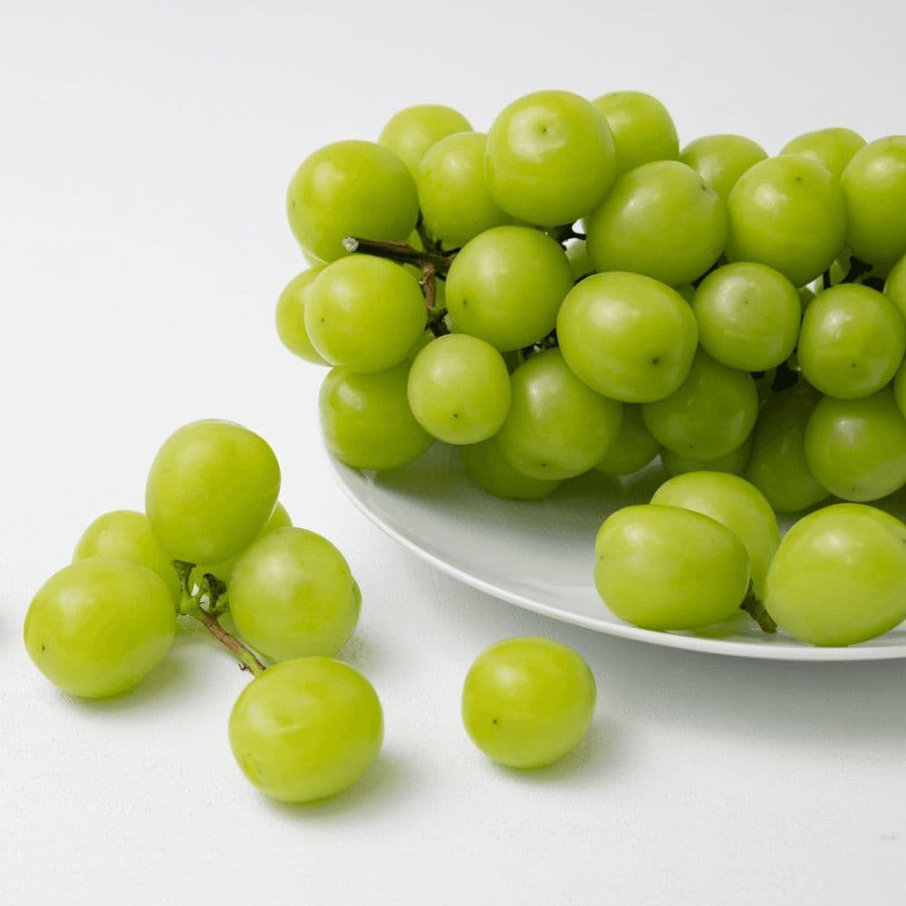 하나의팜 샤인머스켓 2kg