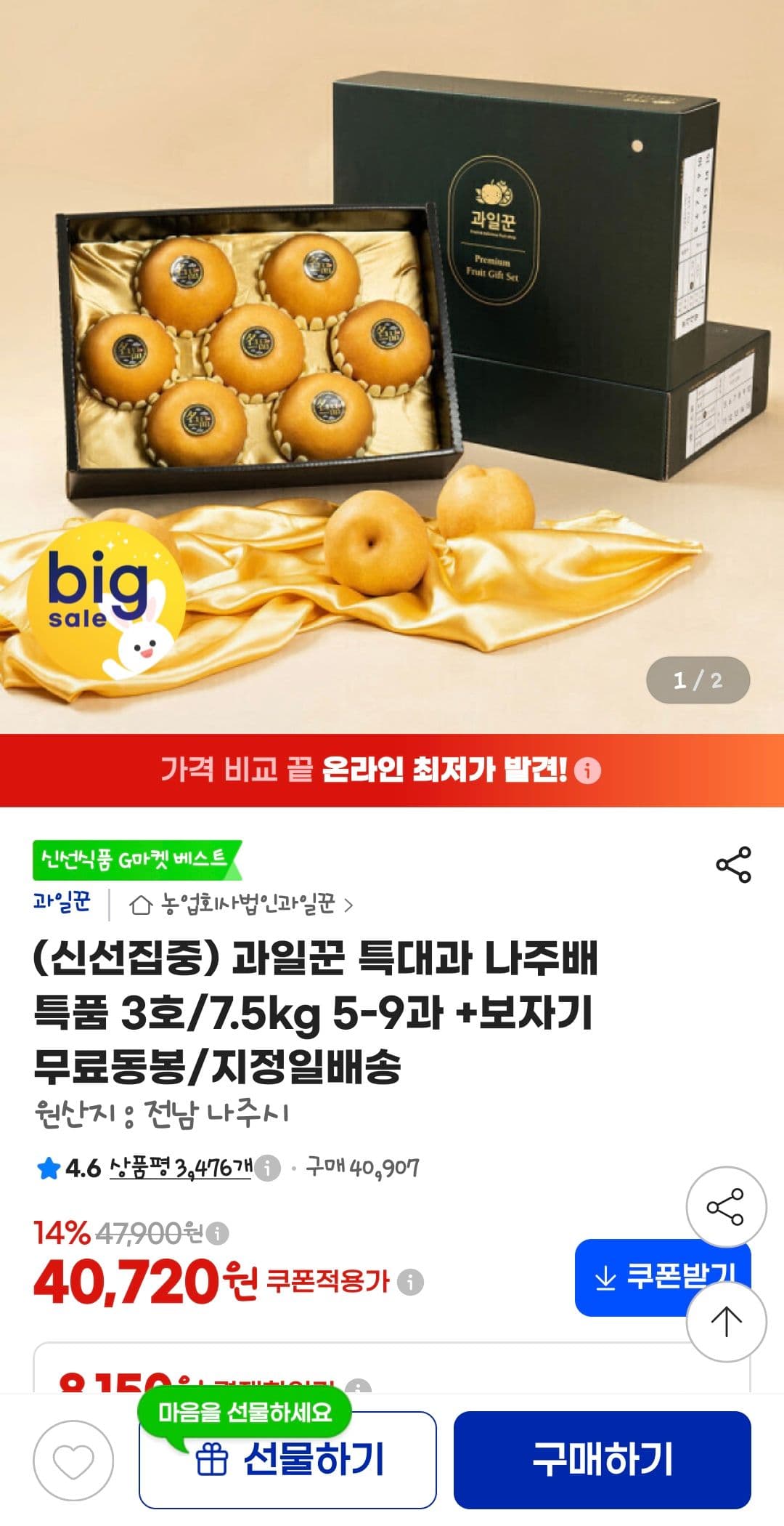 과일꾼 나주배 특대과 특품 3호