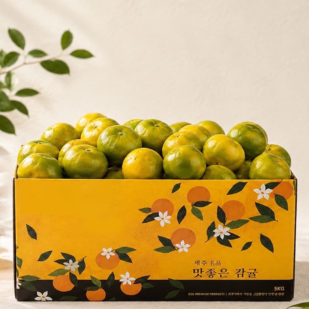 감동 제주 극조생 햇 감귤 소과 4.5kg