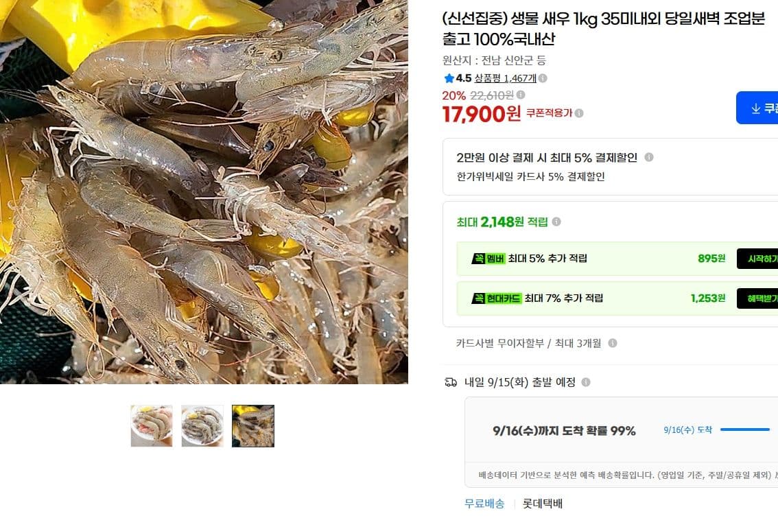 생물 새우 1kg 35미내외