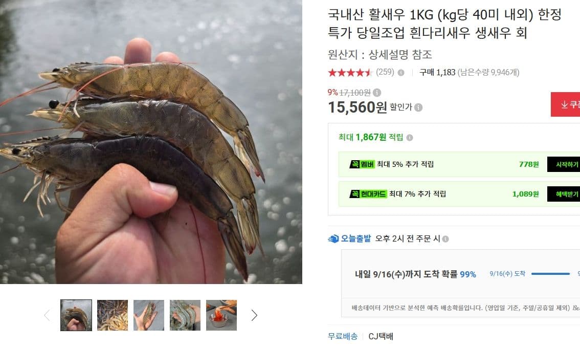 국내산 활새우 1KG 당일조업