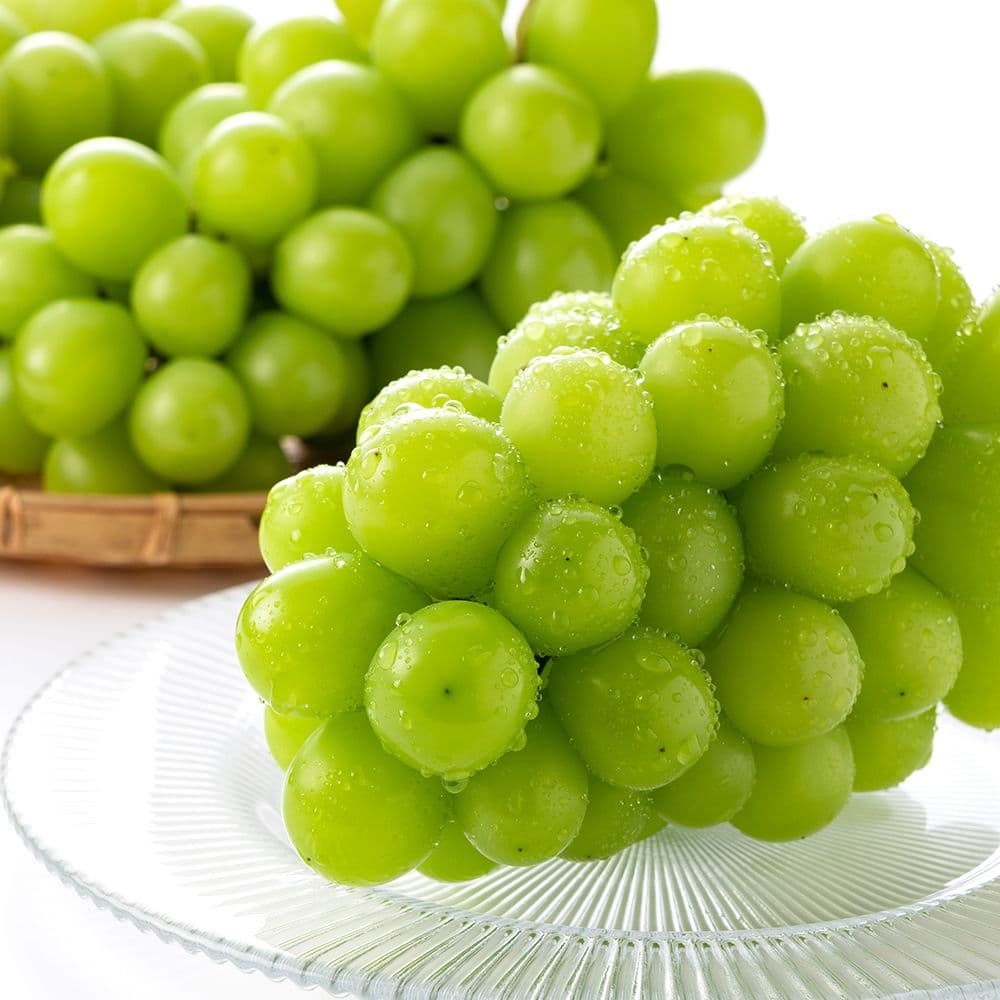 산기슭 샤인머스켓 2~3수 1kg