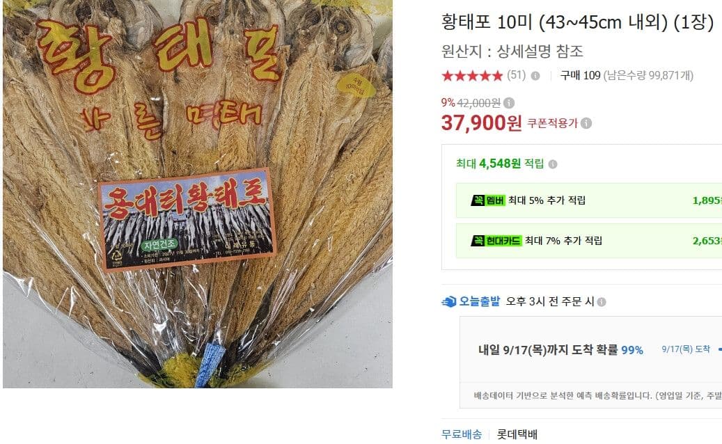 황태포 10미 (43~45cm)