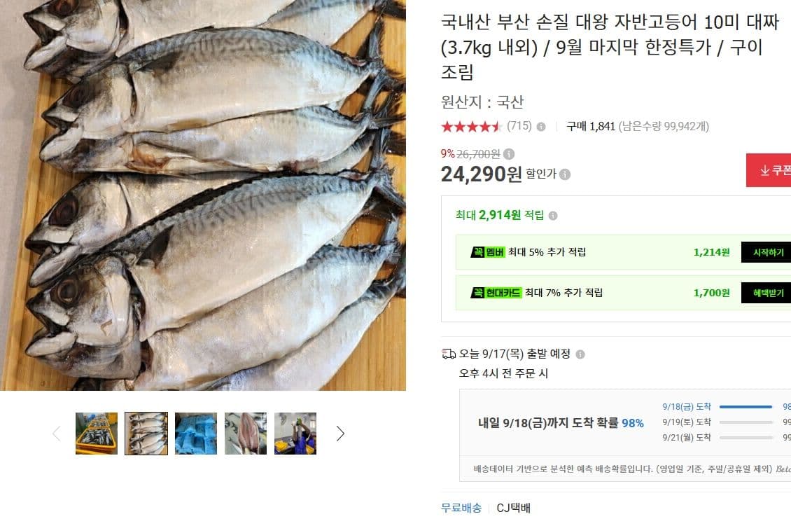 국내산 부산 대왕 자반고등어 10미