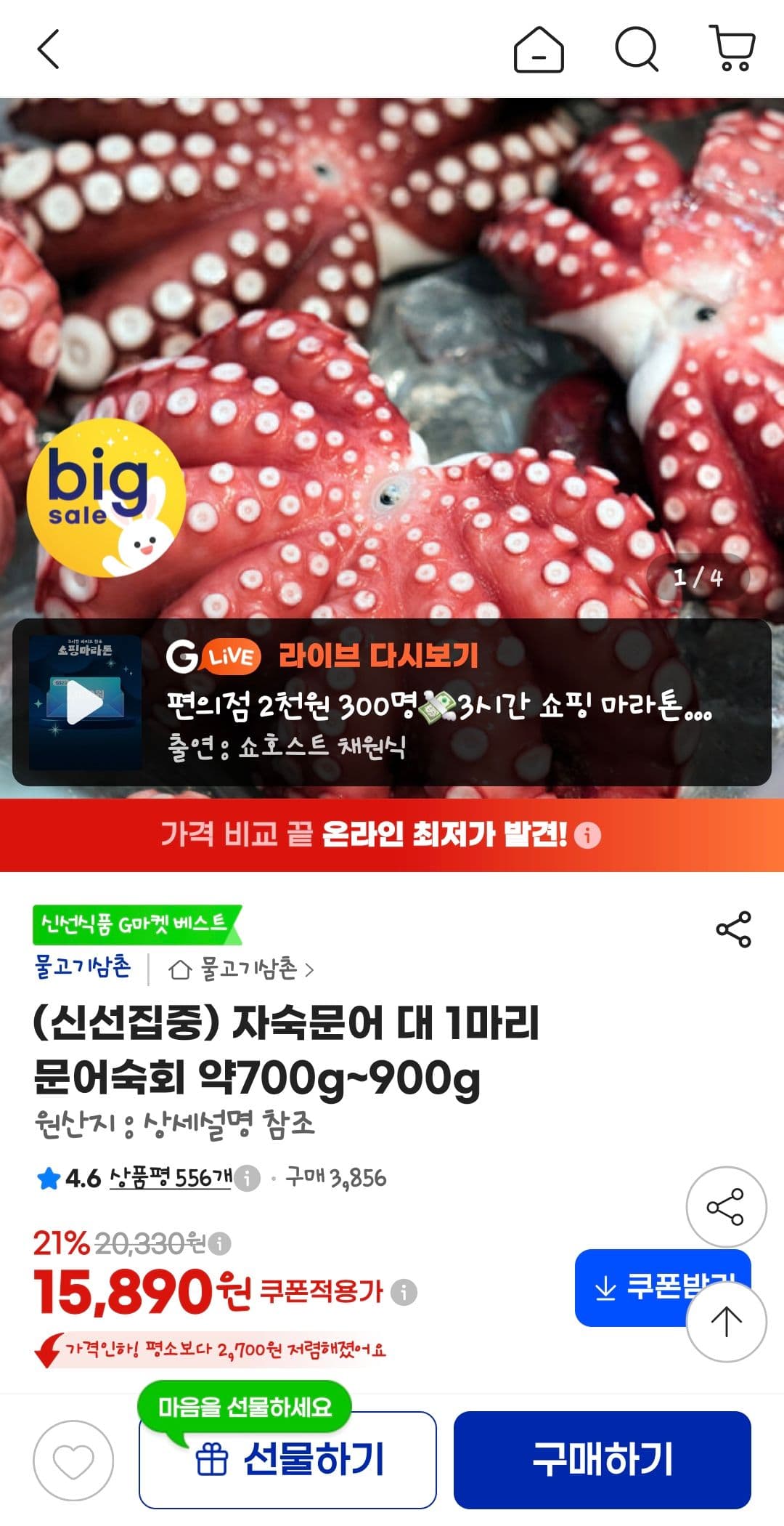 자숙문어 대 1마리 문어숙회