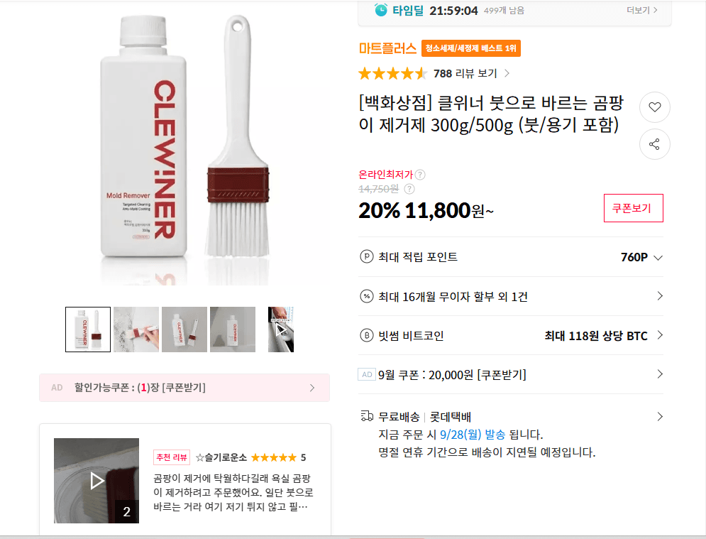 클위너 붓으로 바르는 곰팡이 제거제