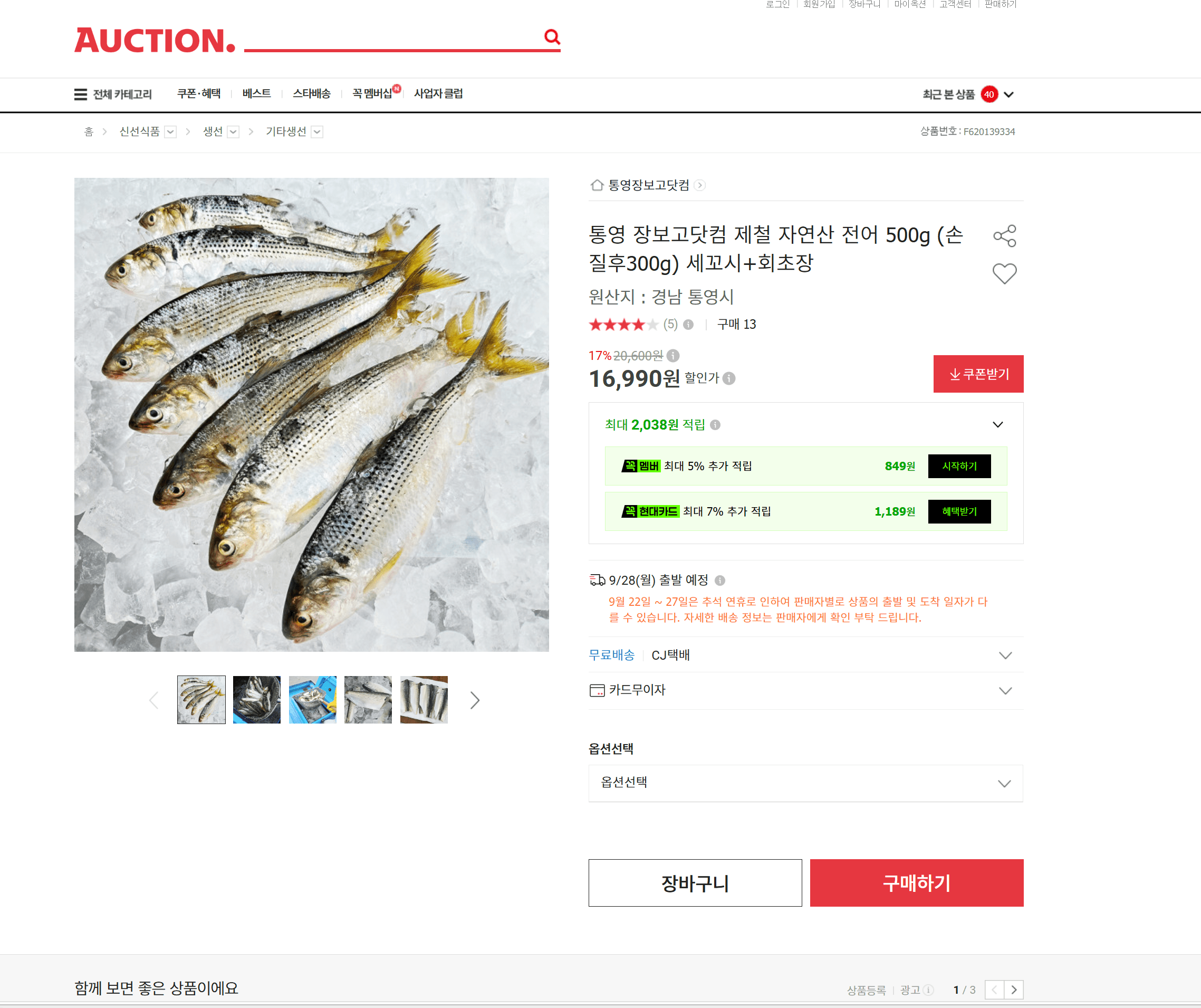 제철 자연산 전어 500g 세꼬시+회초장