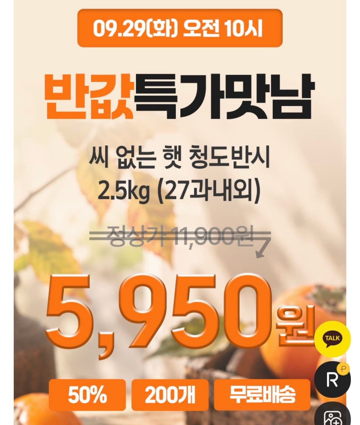 청도 반시 2.5kg