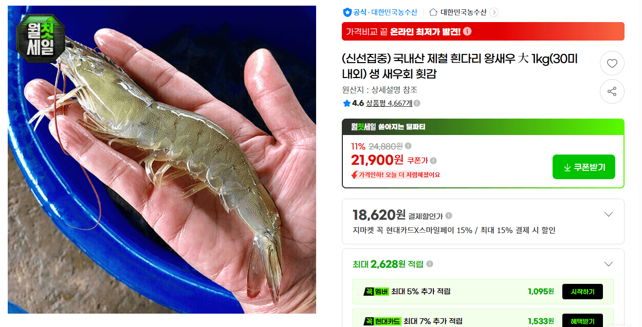 국내산 흰다리 왕새우 大 1kg 30미