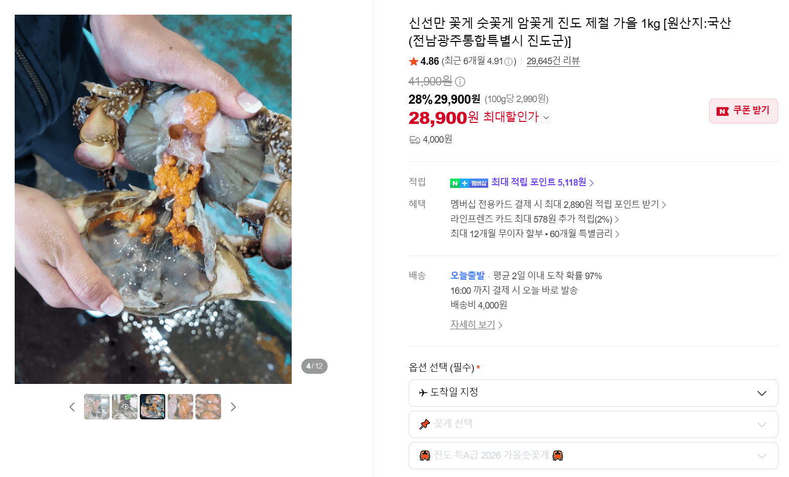 진도 가을 제철 꽃게 1kg