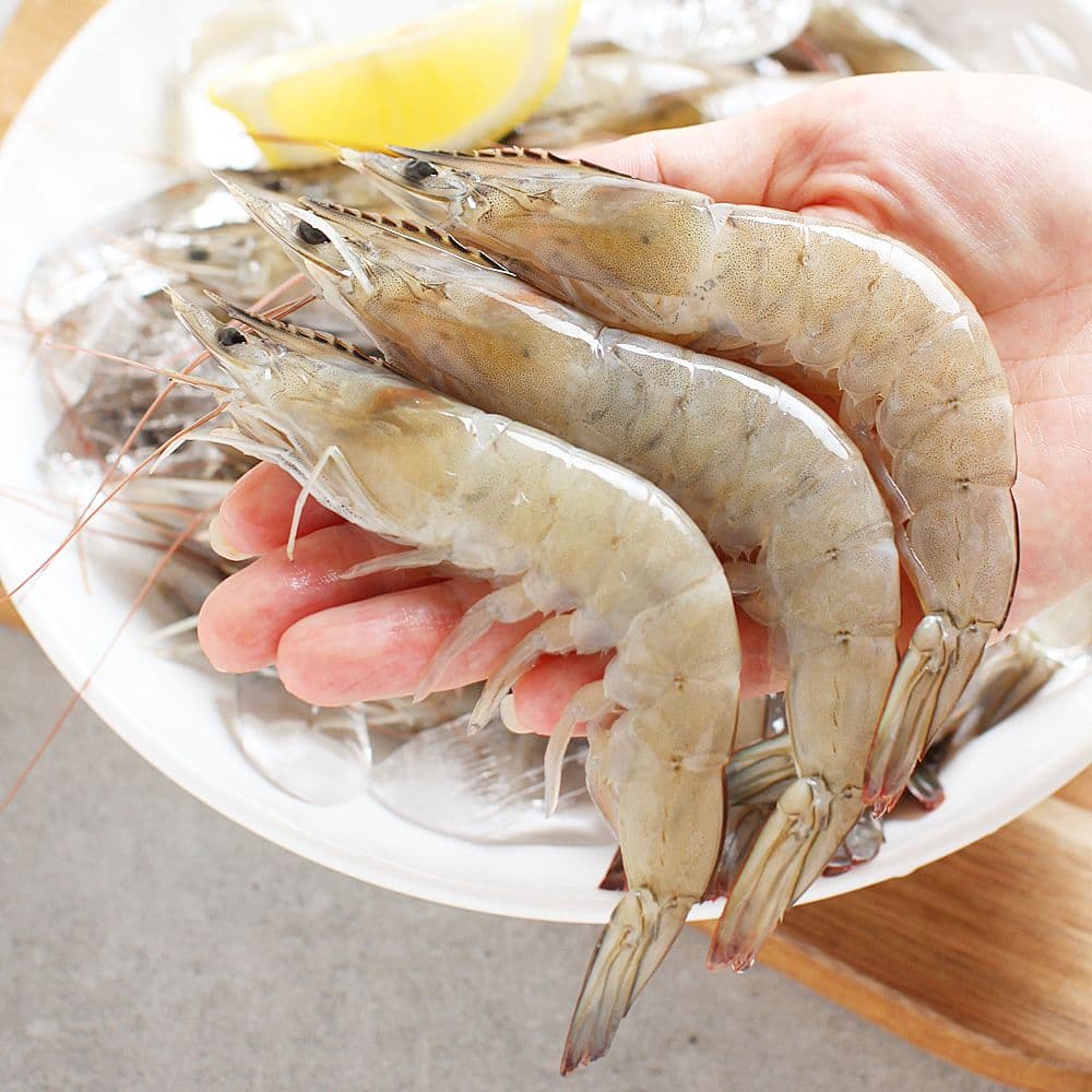 국내산 생물 새우 1kg 30-40미