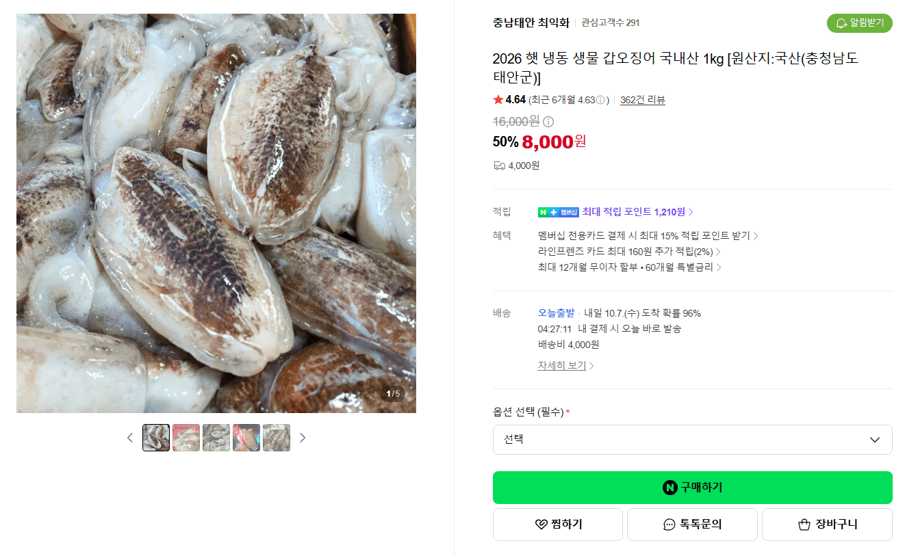 냉동 생물 갑오징어 국내산 1kg