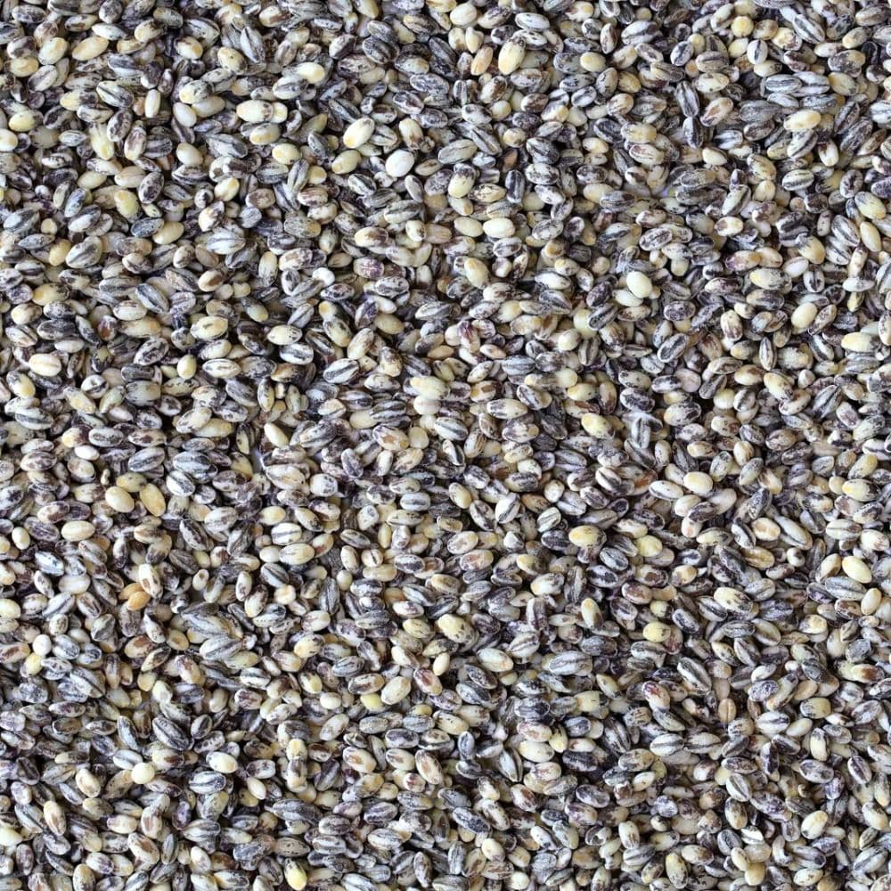 검정보리쌀 500g 4봉