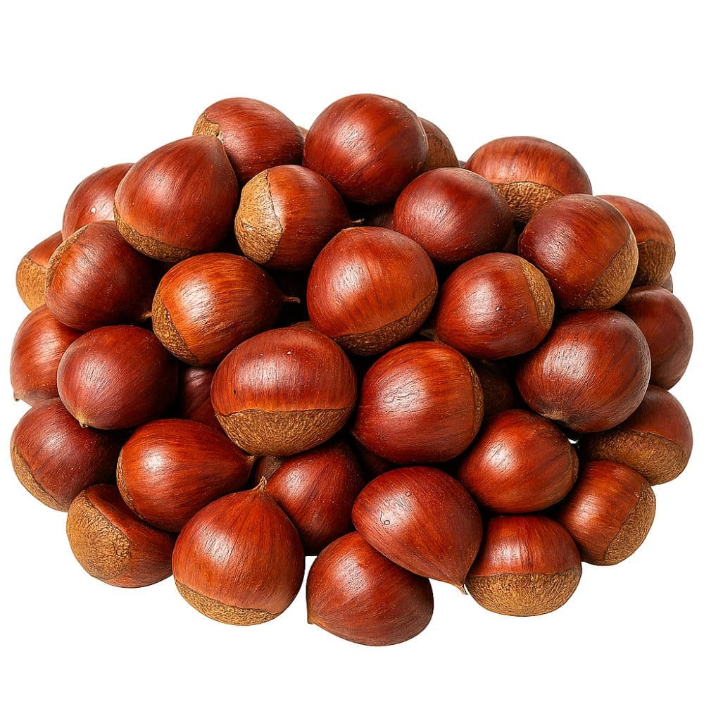 국내산 햇 알밤 5kg