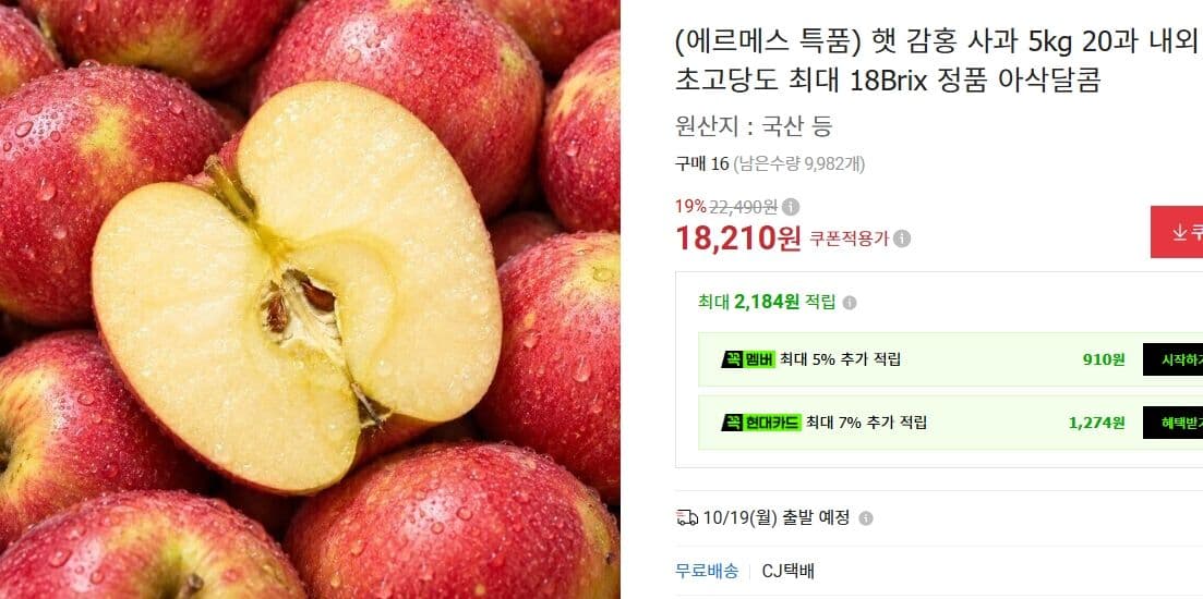 감홍 사과 5kg