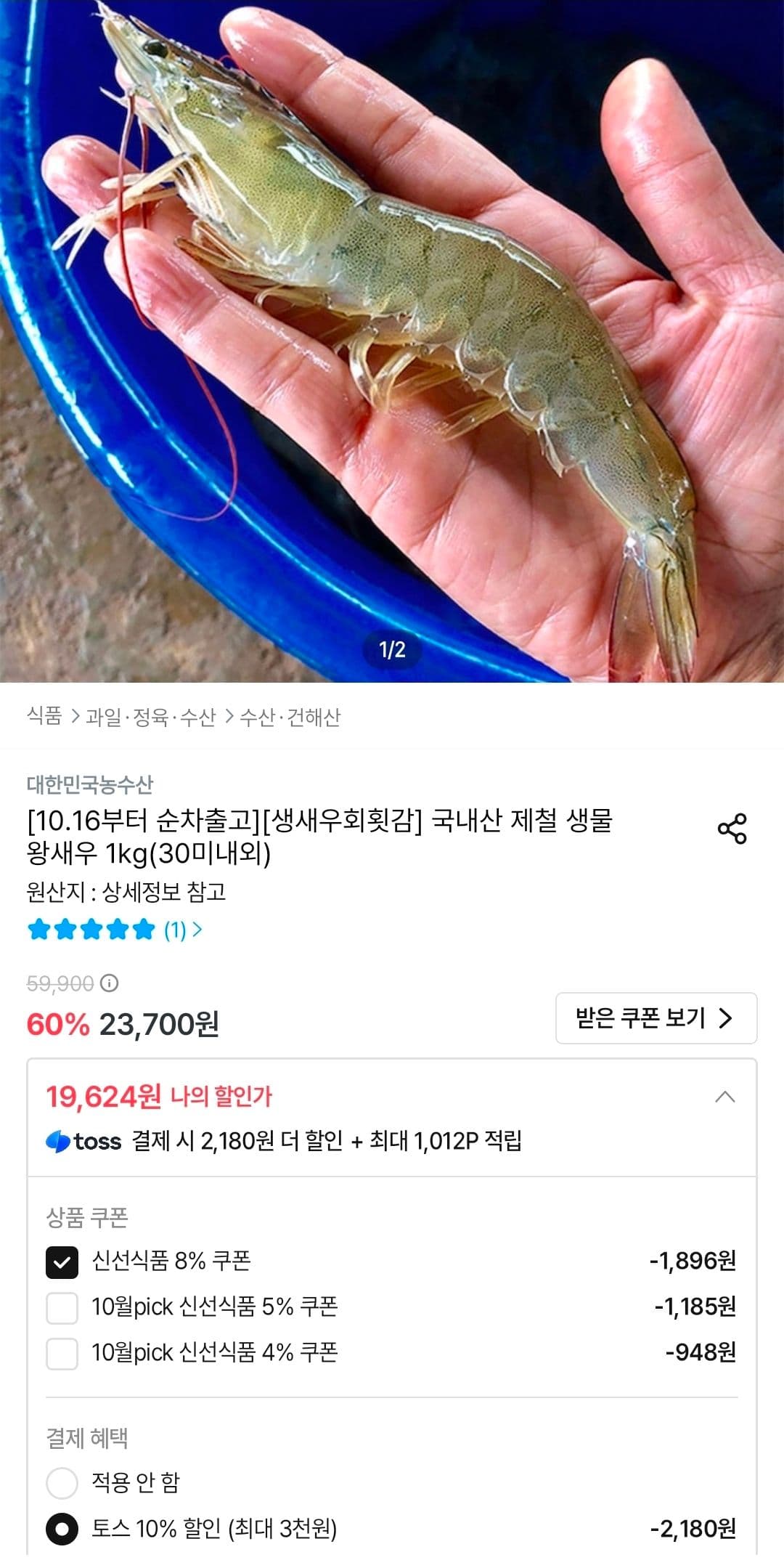 국내산 제철 생물 왕새우 1kg
