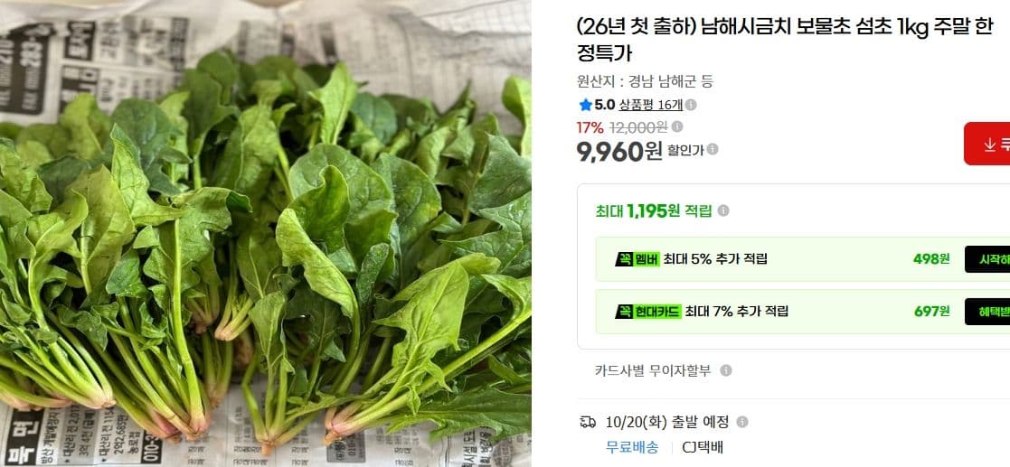 남해시금치 보물초 섬초 1kg