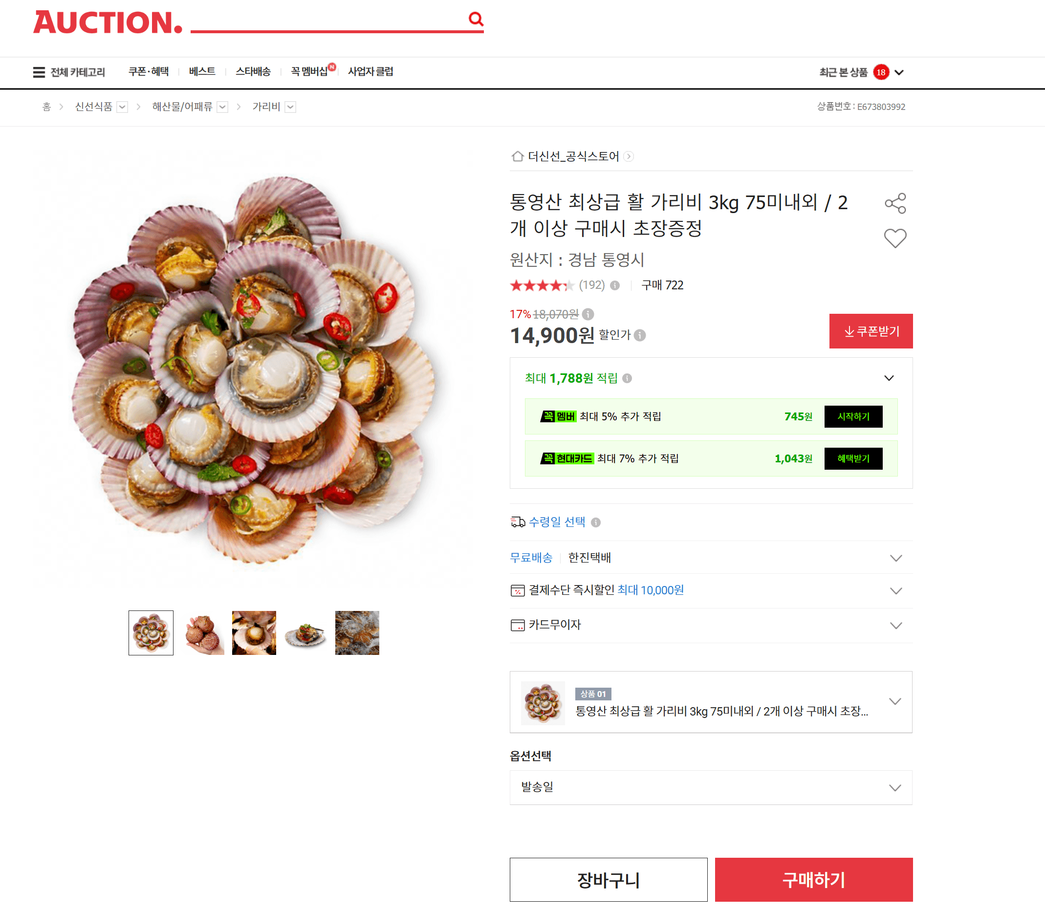 통영산 활 가리비 3kg