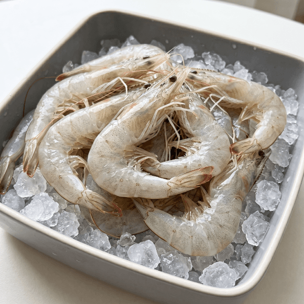 신안 횟감 활 왕새우 1kg
