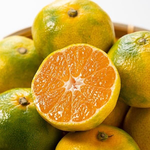 Cheolina Jeju Open-Field Mandarin 5kg