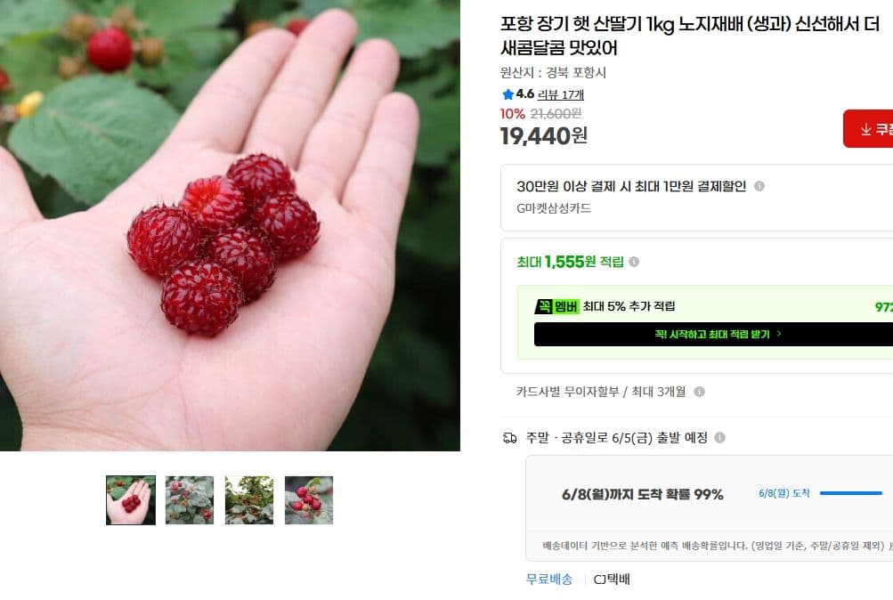 포항 장기 햇 산딸기 1kg 노지재배