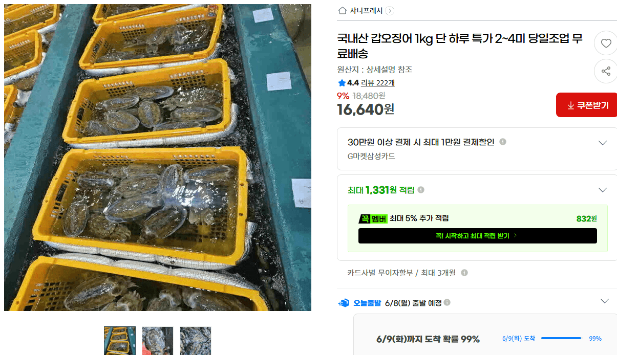 갑오징어 1kg