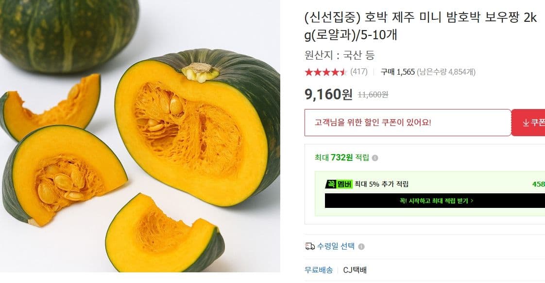제주 미니 밤호박 보우짱 2kg