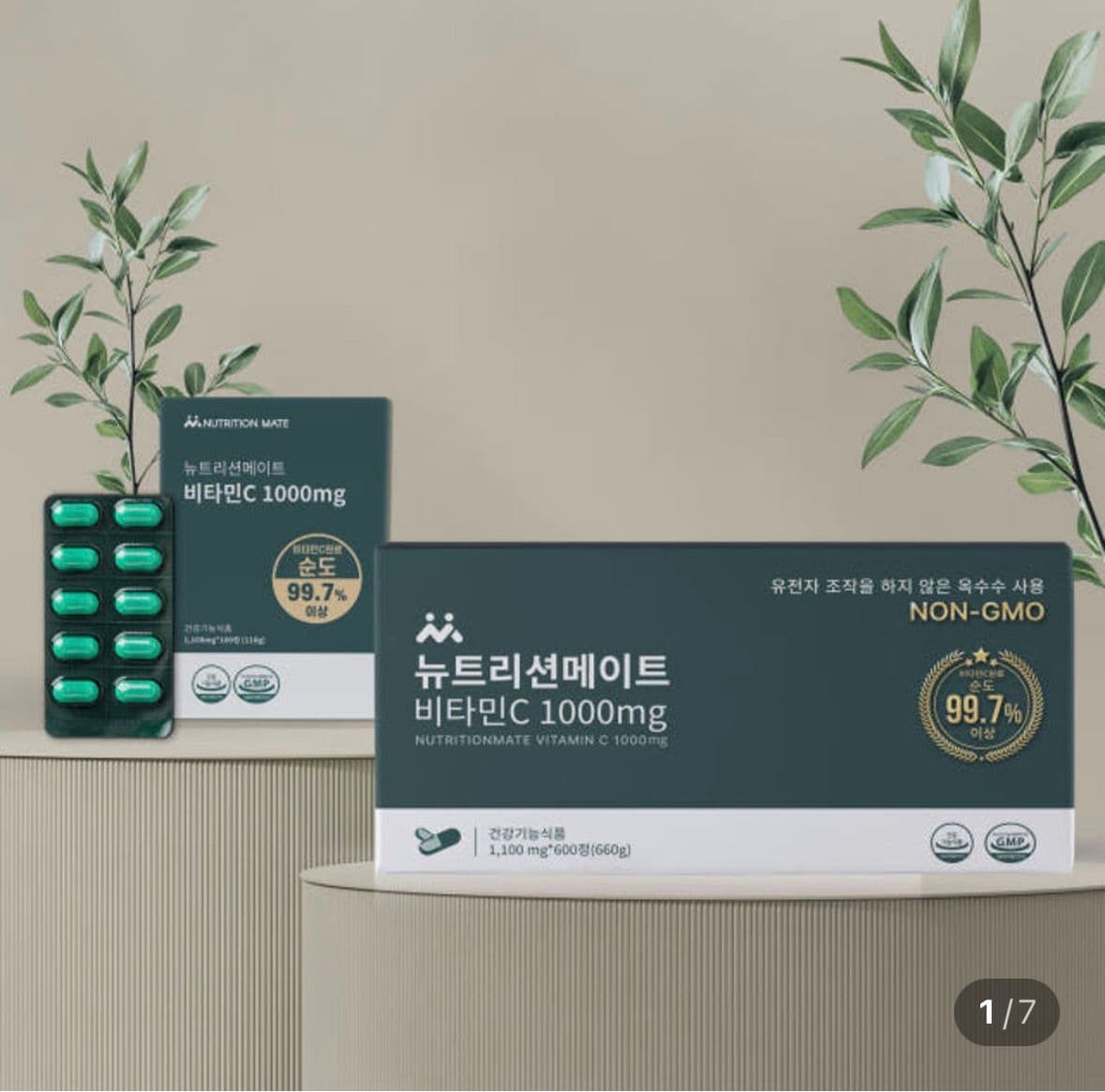 비타민C 1000mg 100정